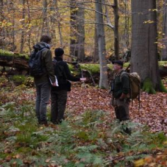 https://bosplus.be/bosrevue/bovengrondse-koolstofopslag-in-beheerde-en-onbeheerde-bossen-in-vlaanderen/