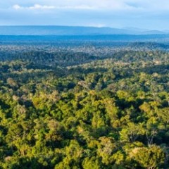 https://www.probos.nl/projecten/duurzame-ketens/1982-sustame-catalyzing-change-for-the-development-of-a-value-chain-for-sustainable-timber-in-surinalme